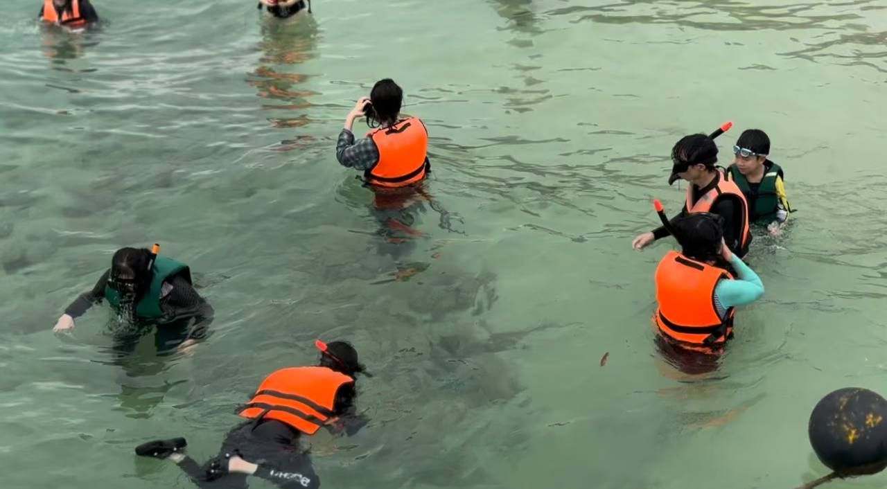 Snorkelling at TAR Marine Park